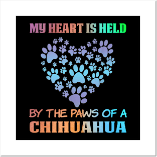 Cute chihuahua dog Posters and Art